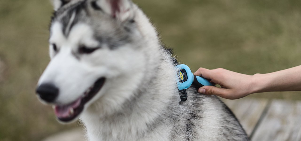 DakPets Deshedding Tool