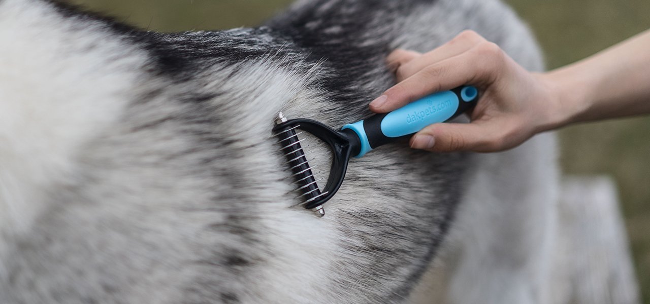 DakPets Dematting Comb